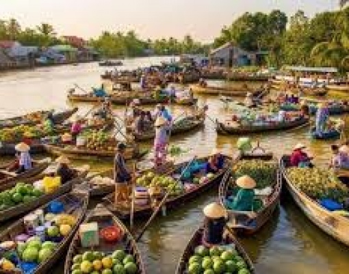 Mekong Delta Tour in 2 Days